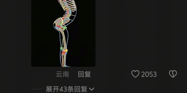 OB电竞官方入口-“骨盆前倾成这样，还不去医院？”家长晒一年级女儿体态，被群嘲